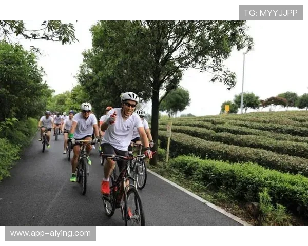 开元体育娱乐：用户如何通过平台享受高品质体育赛事与娱乐内容